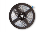 Taśma LED Tunable White IP68 (wodoodporna)
