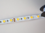 Taśma LED Tunable White IP68 (wodoodporna)