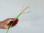 Kabel Tree (200m)