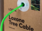 Kabel Tree (200m)